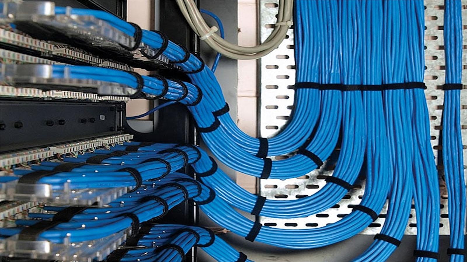 Patch panele bağlanmış mavi network kabloları